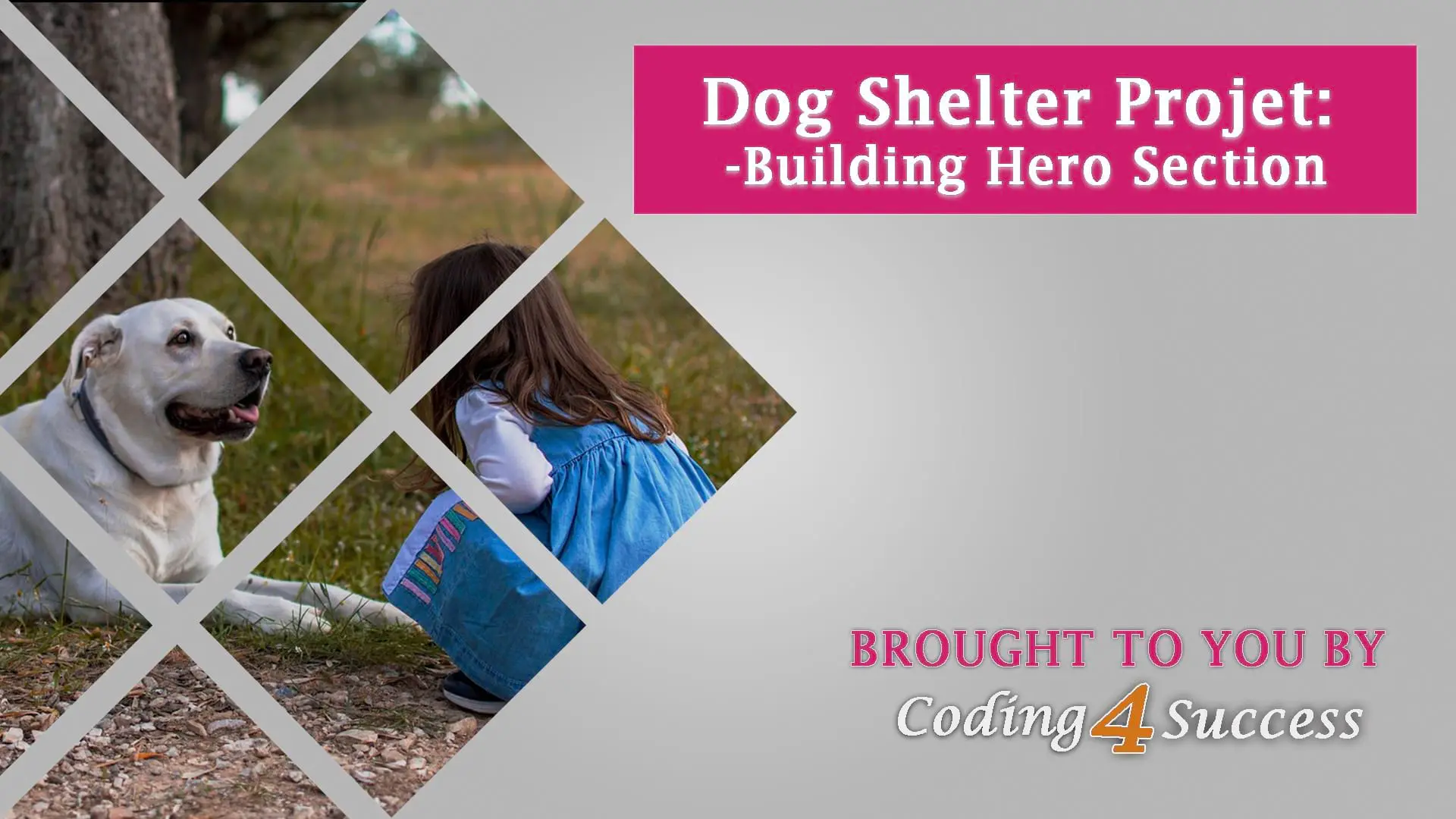 dog-shelter-project-hero-section